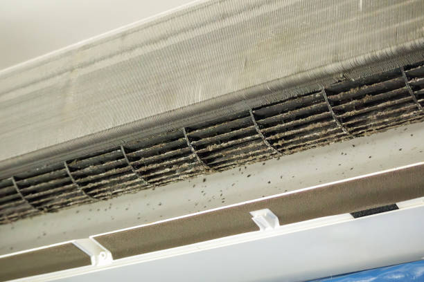 Best Dryer Vent Cleaning Services  in Toledo, IL